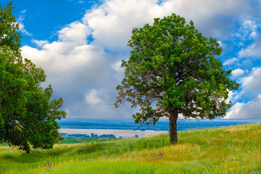 Similar image 8270240