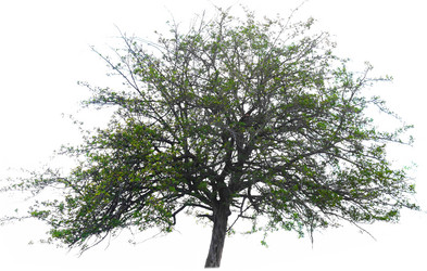 Similar image 8270248