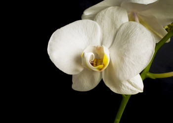 Similar image 8270437