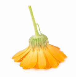 Similar image 8270445