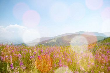 Similar image 8270545