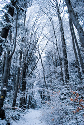 Similar image 8270672