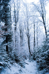 Similar image 8270675