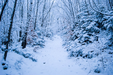 Similar image 8270679