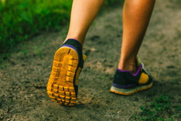 Similar image 8270711