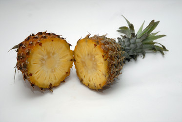 Similar image 8270767