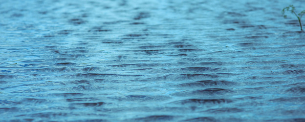 Similar image 8270963