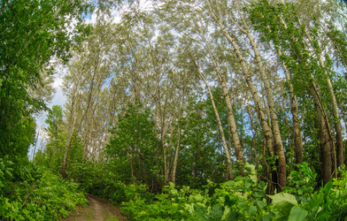 Similar image 8270966