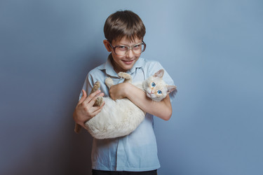 Similar image 8271018