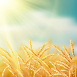 Similar image 8271261