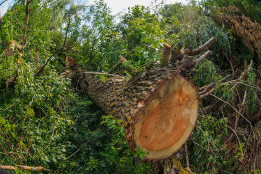 Similar image 8271399