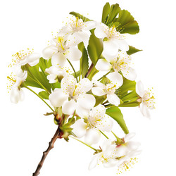 Similar image 8271401