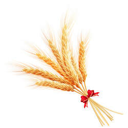 Similar image 8271486