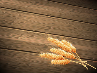 Similar image 8271493