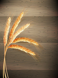 Similar image 8271497