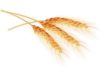 Similar image 8271504