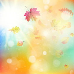 Similar image 8271505