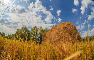 Similar image 8271507