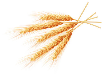 Similar image 8271519