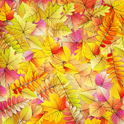 Similar image 8271579