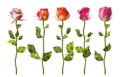 Similar image 8271664