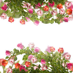 Similar image 8271704