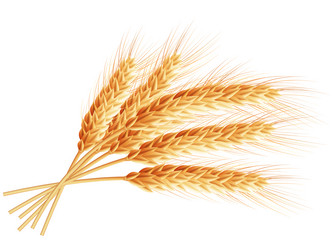 Similar image 8271892