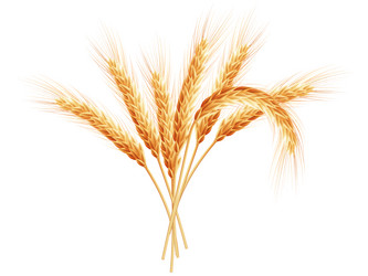 Similar image 8271893