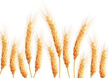 Similar image 8271894