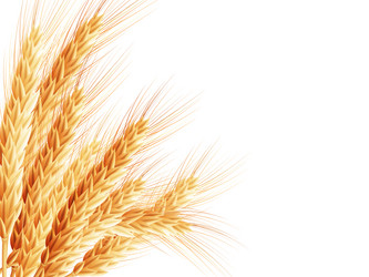 Similar image 8271897