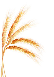 Similar image 8271898