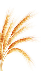 Similar image 8271899