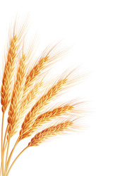 Similar image 8271900