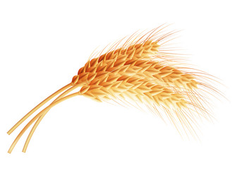 Similar image 8271901