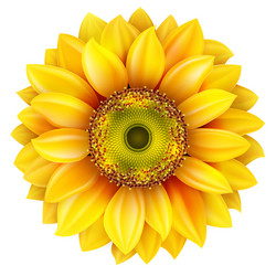 Similar image 8271933