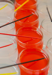 Similar image 8272097