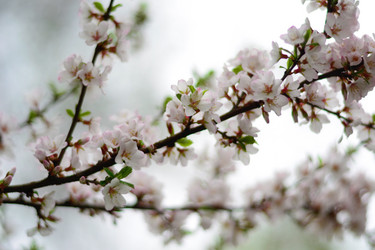 Similar image 8272184