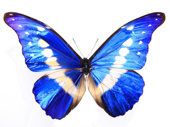 Similar image 8272185