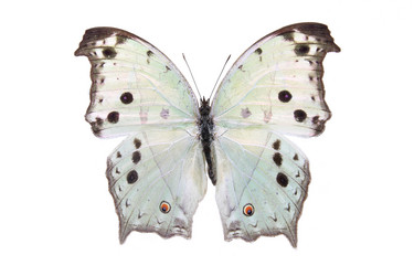 Similar image 8272188