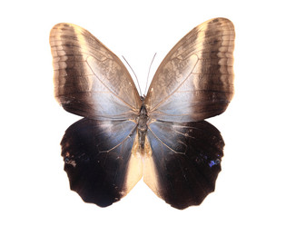 Similar image 8272192