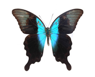 Similar image 8272193