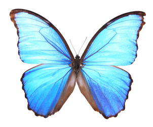 Similar image 8272199