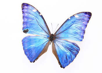 Similar image 8272200