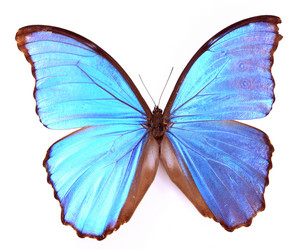 Similar image 8272225