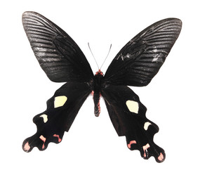 Similar image 8272230