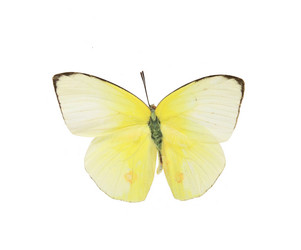 Similar image 8272231