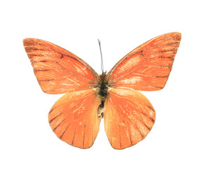 Similar image 8272232