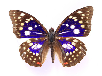 Similar image 8272239