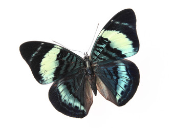 Similar image 8272240