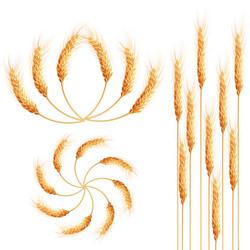 Similar image 8272246